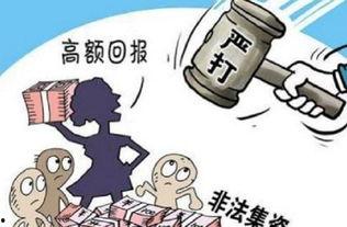 新农人非法集资爆料视频,揭秘背后惊人真相